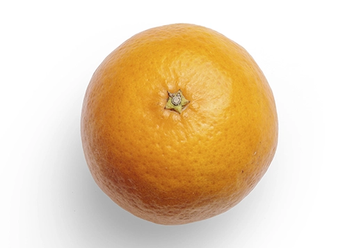 melon producción