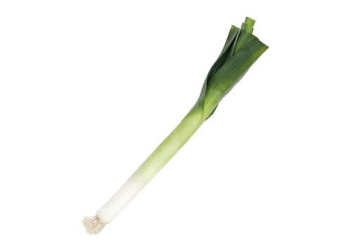melon producción