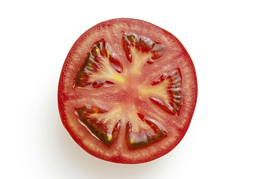 melon producción