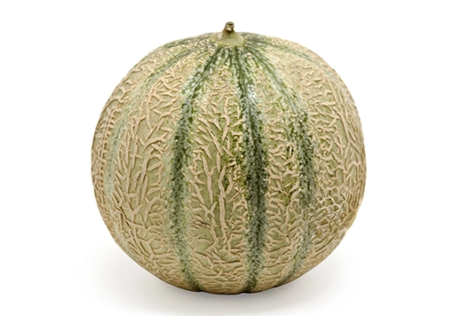 melon producción
