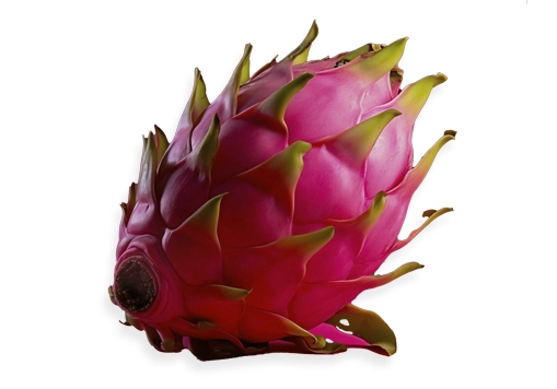 melon producción